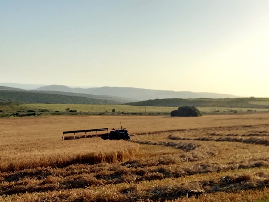  Bedroom Property for Sale in Riversdale Rural Western Cape